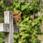 4 Steirer in München – Teil 2