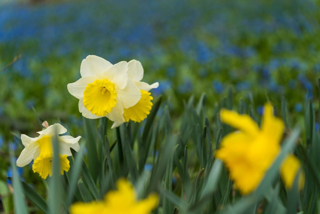Image gallery image