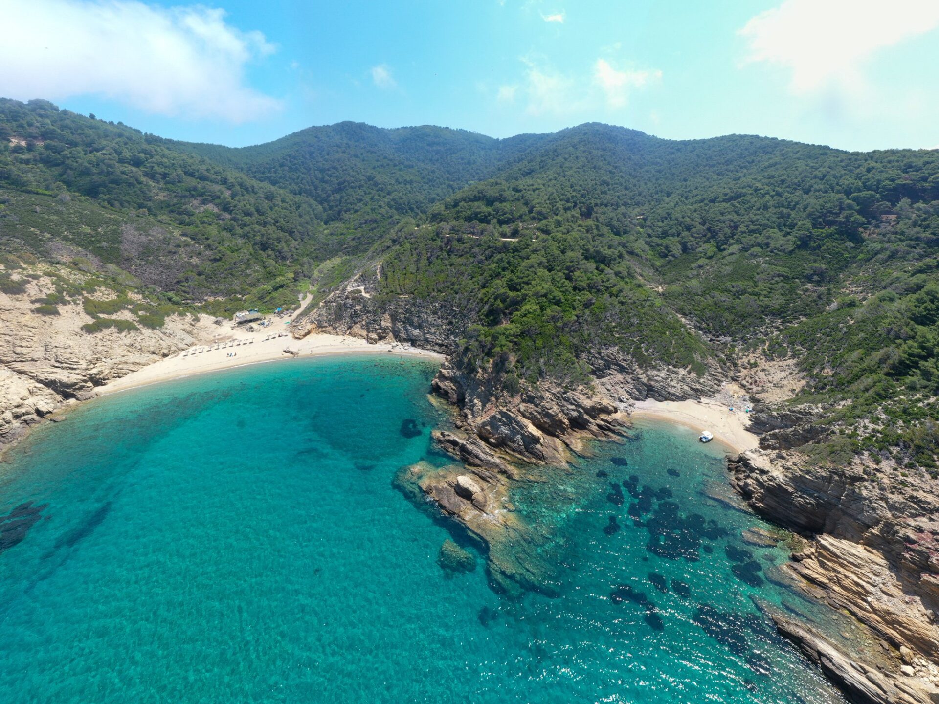 Tag 6: The Lost Turtles und ein Flugzeug wird kommen