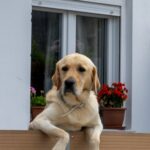 Tag 12:   Sancho und sein Esel Rucio – einfach um bei der Analogie zu bleiben