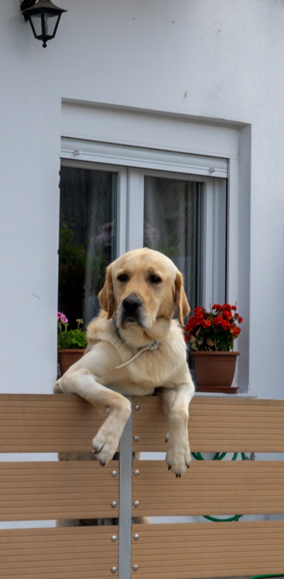 Tag 12:   Sancho und sein Esel Rucio – einfach um bei der Analogie zu bleiben