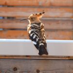 Unterwegs in der Hochsteiermark