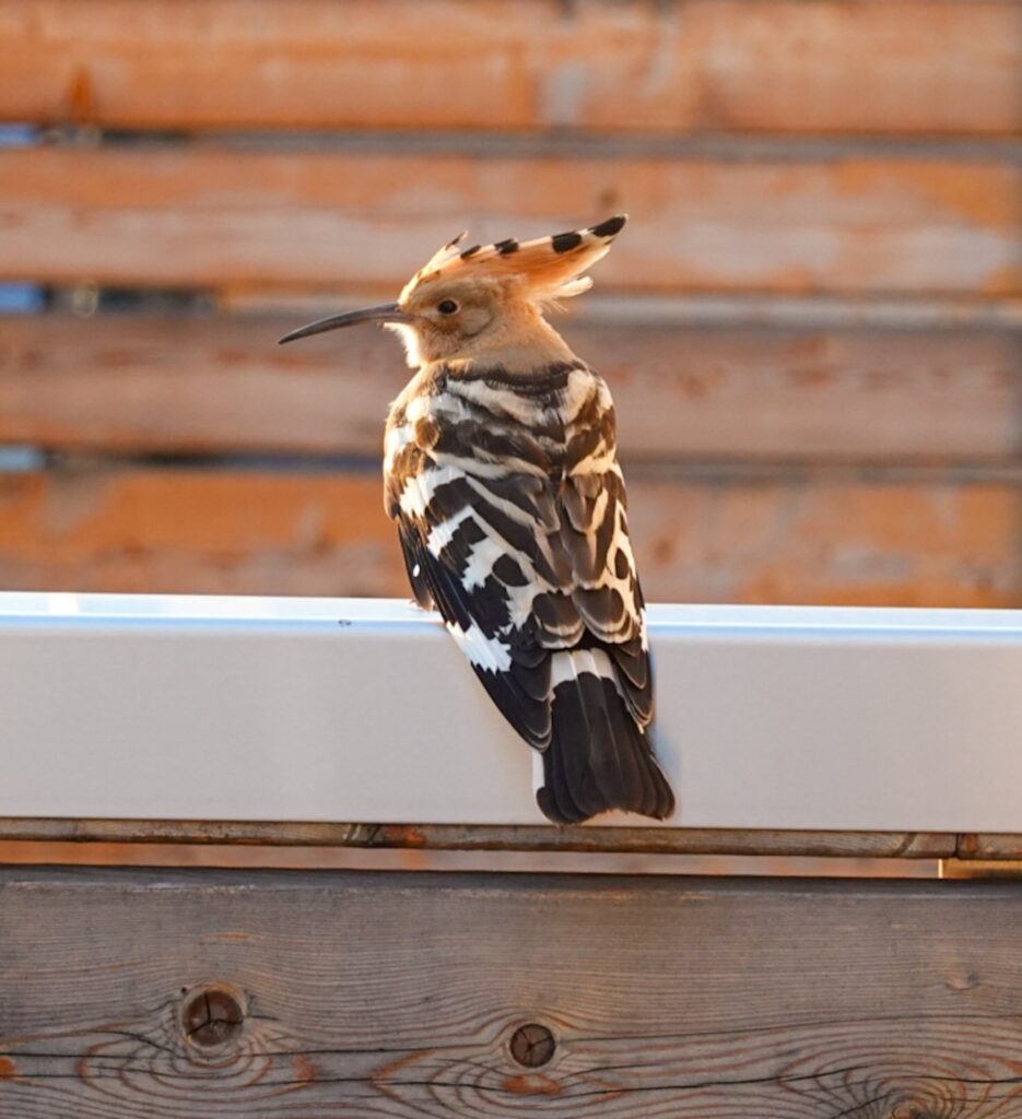 Unterwegs in der Hochsteiermark