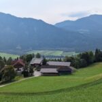 Klamm und Gummitiere