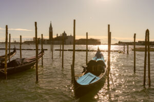 Image gallery image