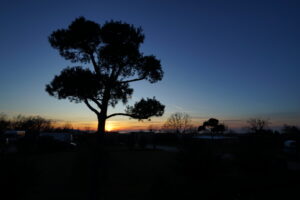 Image gallery image