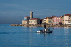 Image gallery image