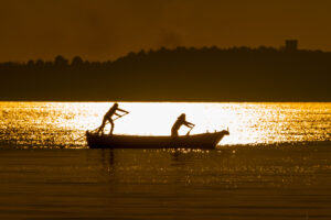 Image gallery image