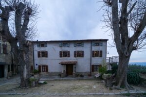 Image gallery image