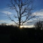 Auszeit in San Servolo