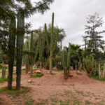 Image gallery image