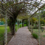 Image gallery image