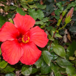 Image gallery image