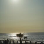Image gallery image