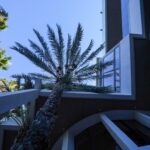 Image gallery image