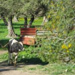 Image gallery image