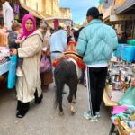 Image gallery image