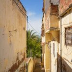 Image gallery image