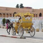 Image gallery image