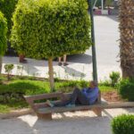 Image gallery image
