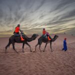 Tag 7: Auf den Spuren der Berber durch die majestätischen Landschaften Marokkos
