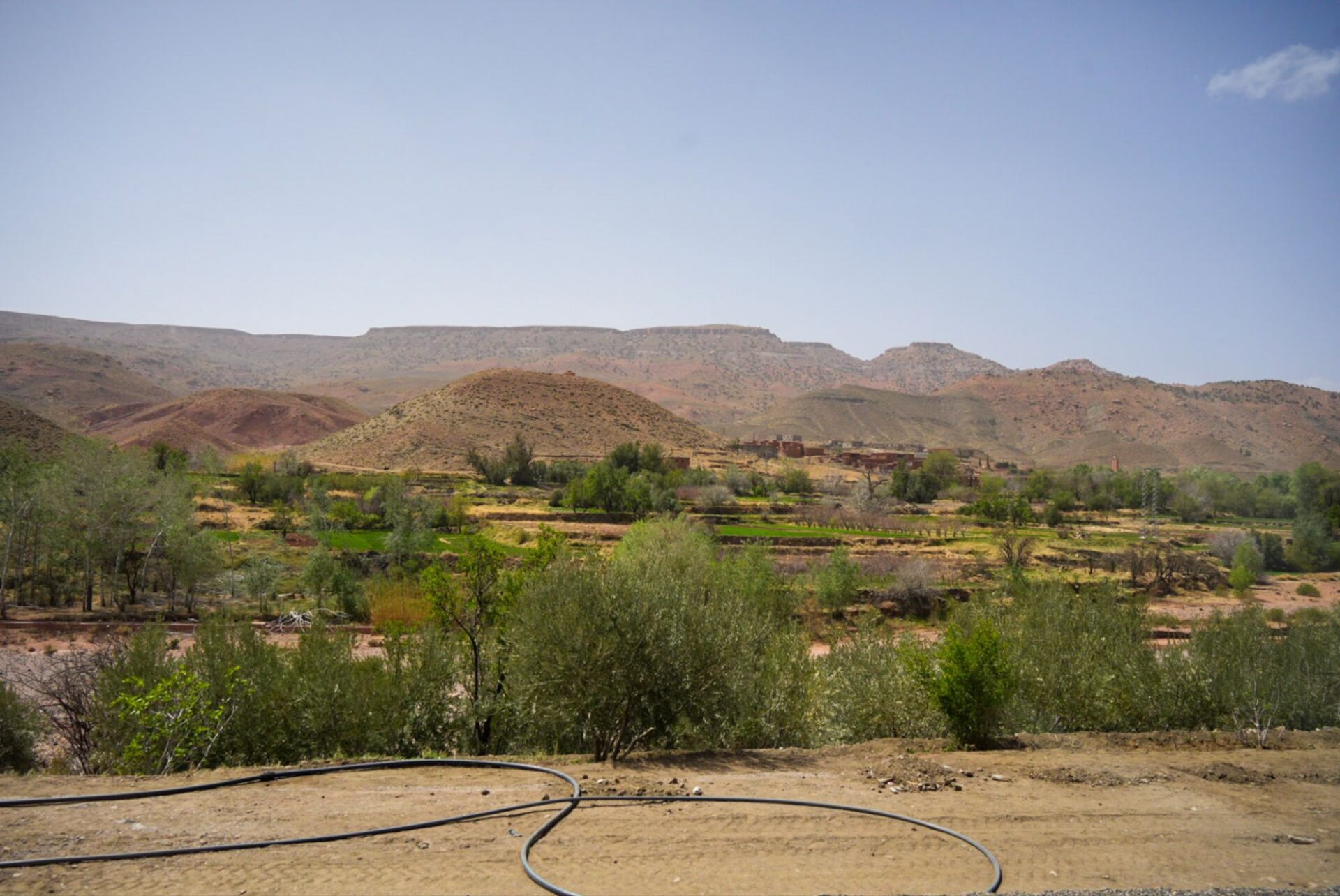 Image gallery image