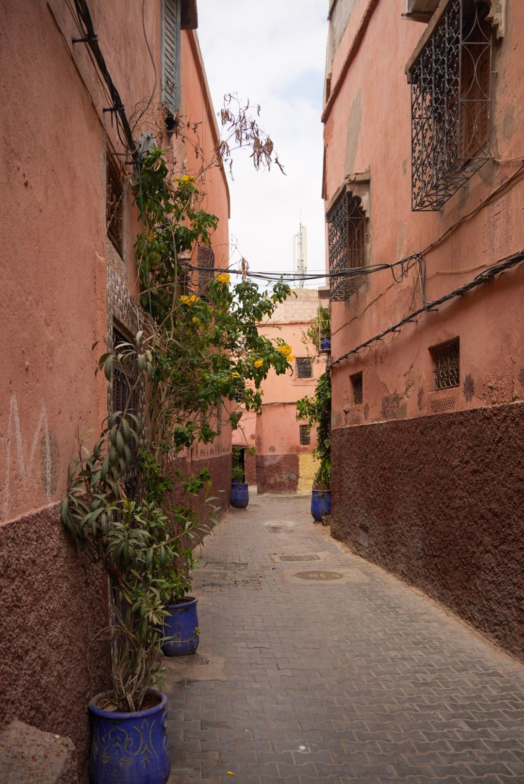 Image gallery image