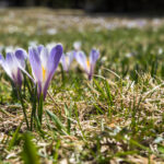 2 Tage, 3 Bundesländer, 625 km Österreich