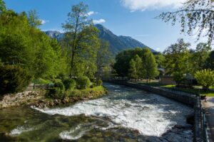 Image gallery image