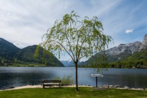 Image gallery image