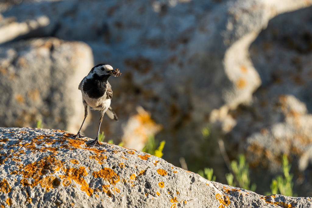 Medulin – noch ein Schiff, zwei Bunker und eine verlassene Villa