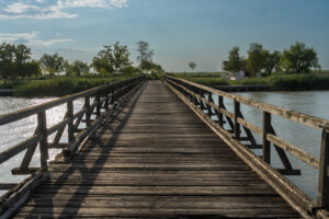 Image gallery image