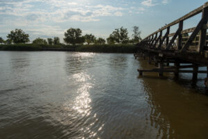 Image gallery image