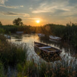 Ich denke oft an Piroschka oder wie man verzweifelt einen Titel für einen Balaton Ausflug sucht.
