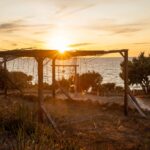 Auf den Spuren von Hippokrates