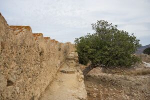 Image gallery image