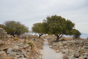 Image gallery image