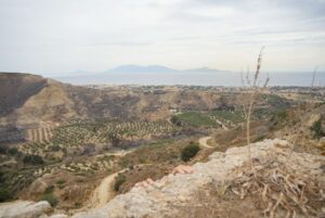 Image gallery image