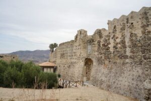 Image gallery image