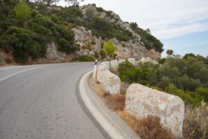 Image gallery image