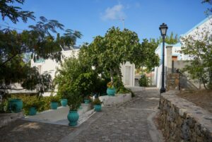 Image gallery image
