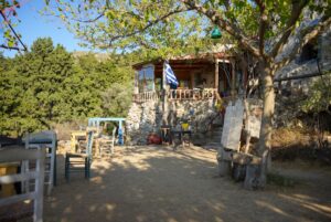 Image gallery image
