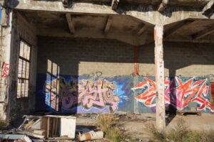 Image gallery image