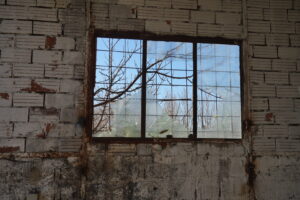 Image gallery image