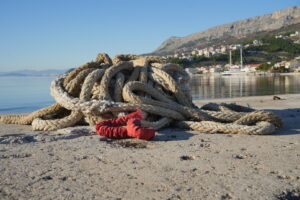 Image gallery image