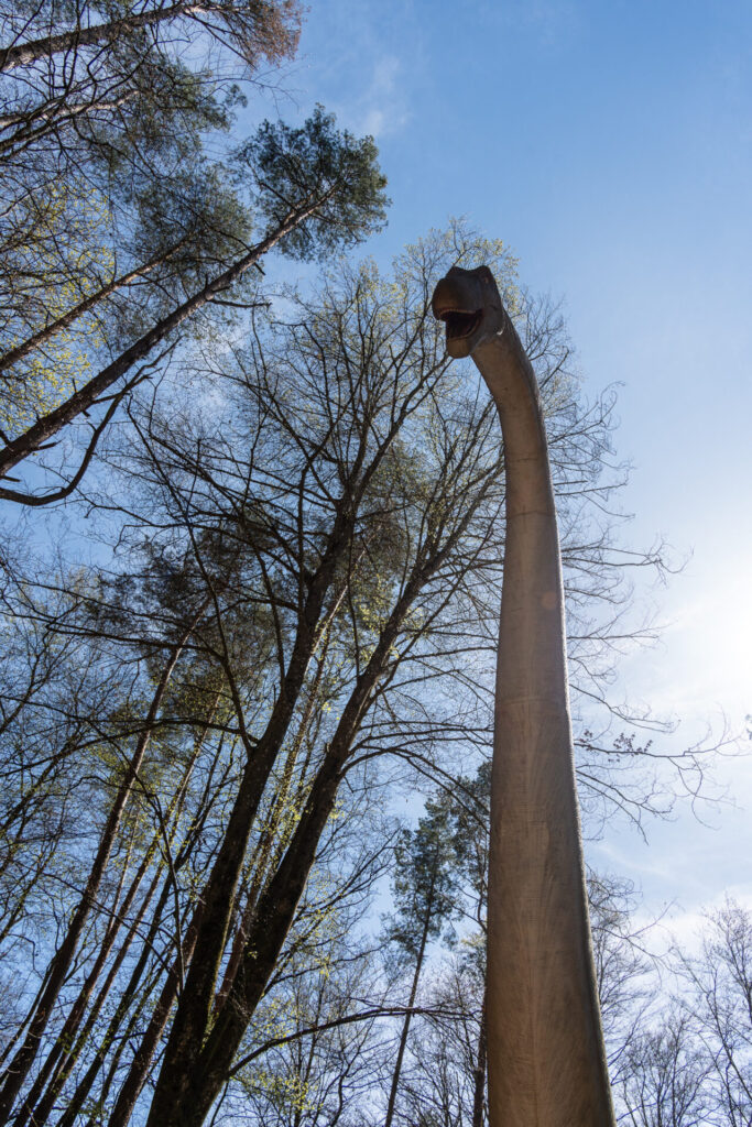 Styrassic Park: Eine Reise in die Urzeit – Ein Ausflug in die Nähe!