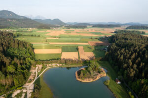 Image gallery image
