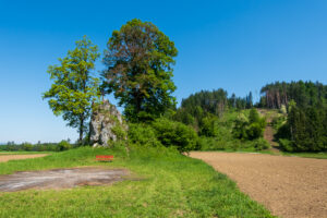 Image gallery image