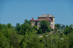 Image gallery image