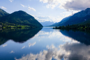 Image gallery image